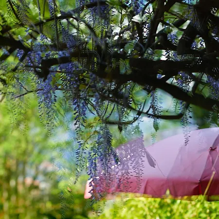 Boutique Maison Bergdorf Bed & Breakfast Interlaken